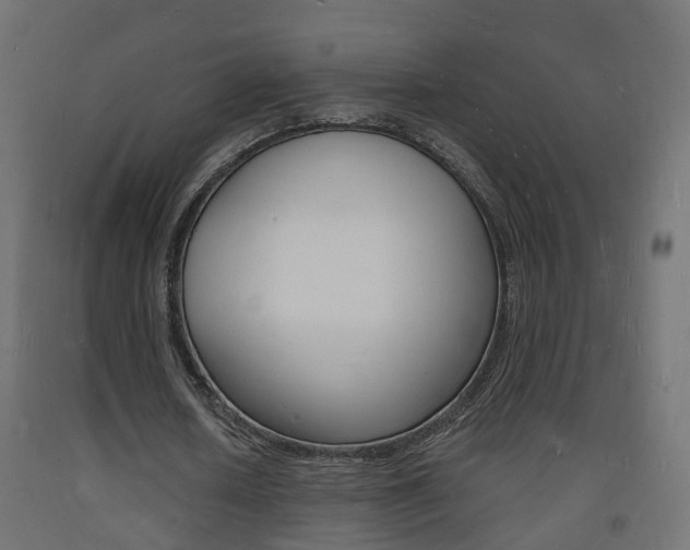 X0000093720626200710160751
