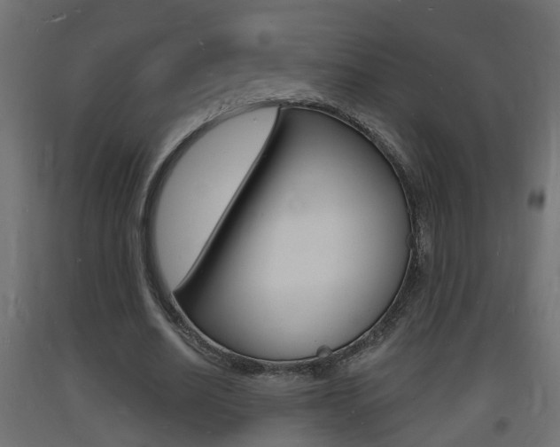 X0000093720630200710160751