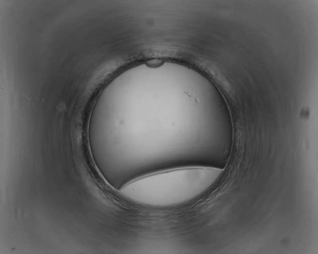X0000093720631200710160751