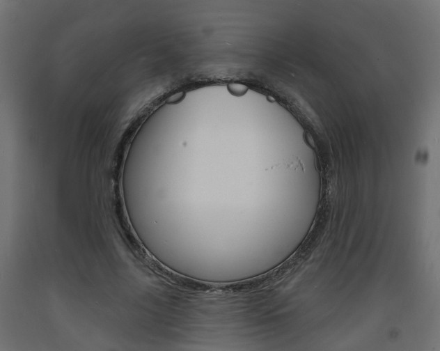 X0000093720635200710160751
