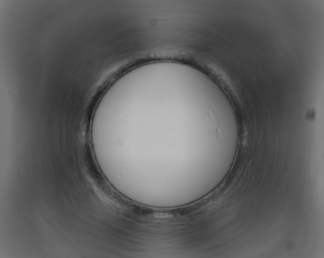 X0000093720636200710160752