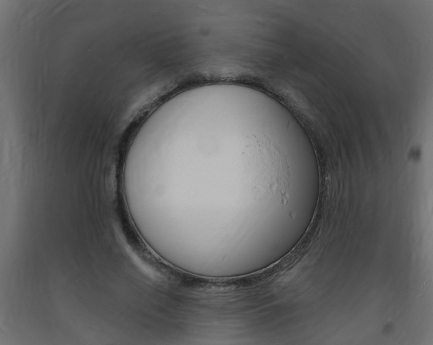 X0000093720638200710160752
