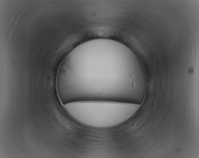 X0000093720639200710160752