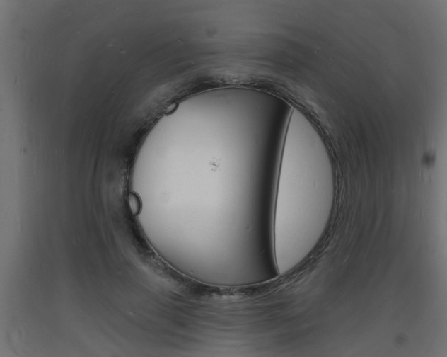 X0000093720645200710160752