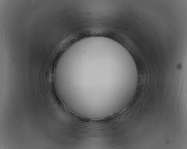 X0000093720648200710160752