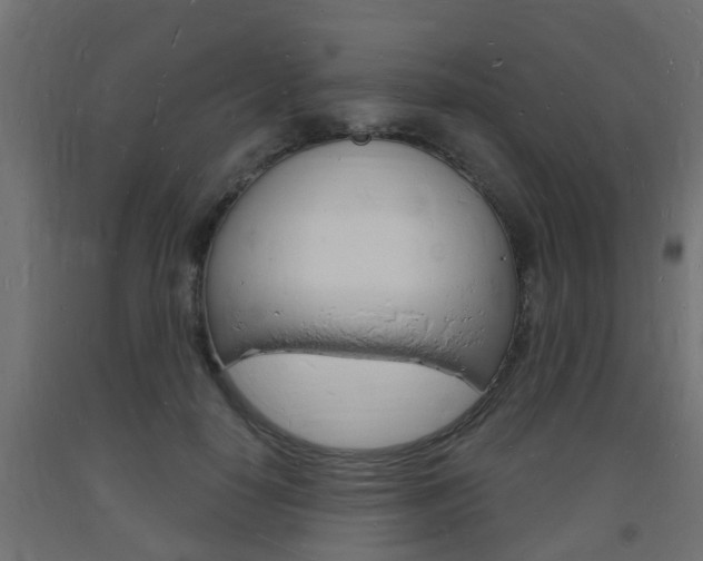 X0000093720650200710160752
