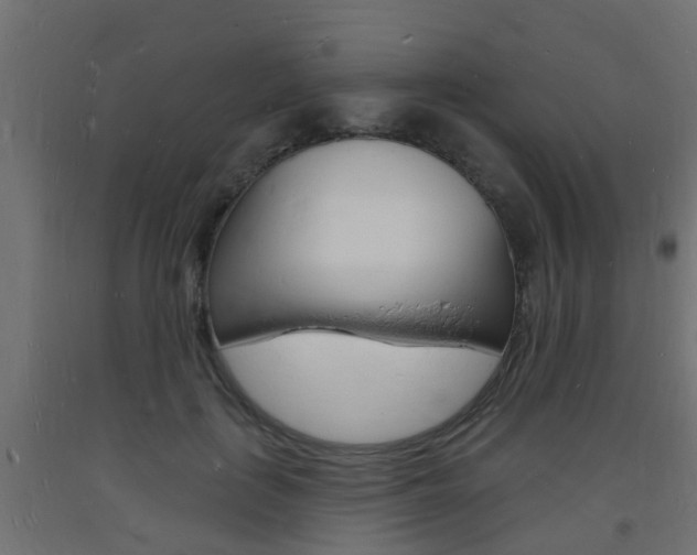 X0000093720651200710160752