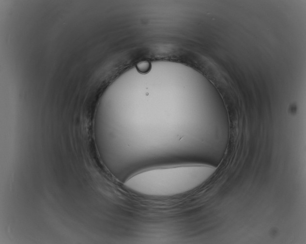 X0000093720653200710160752