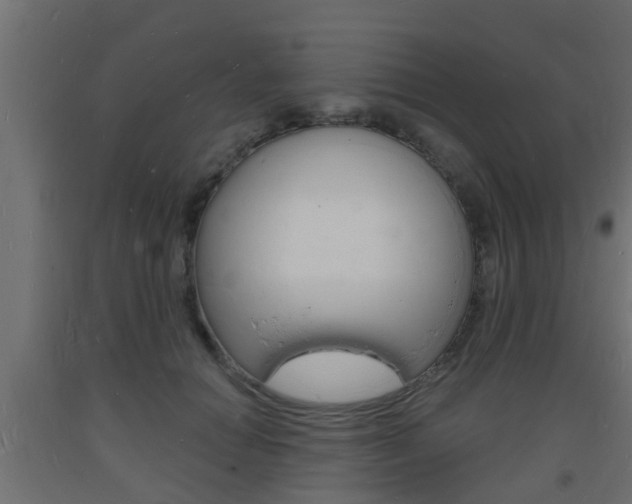 X0000093720654200710160752