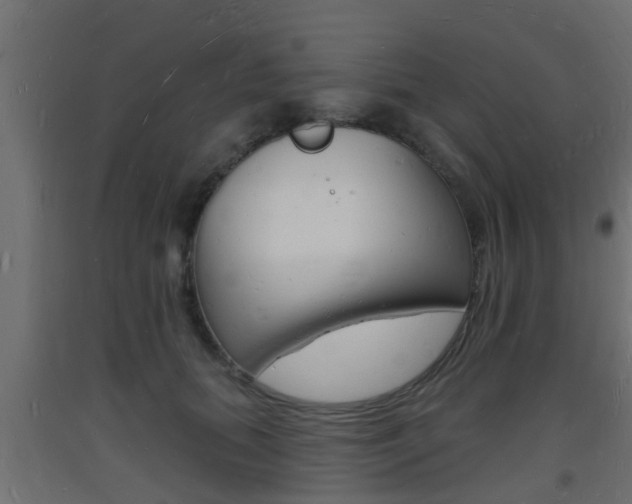 X0000093720655200710160752