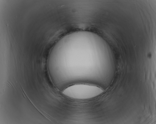 X0000093720656200710160752