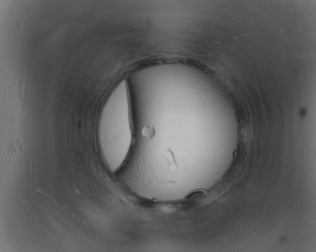 X0000093720662200710160752