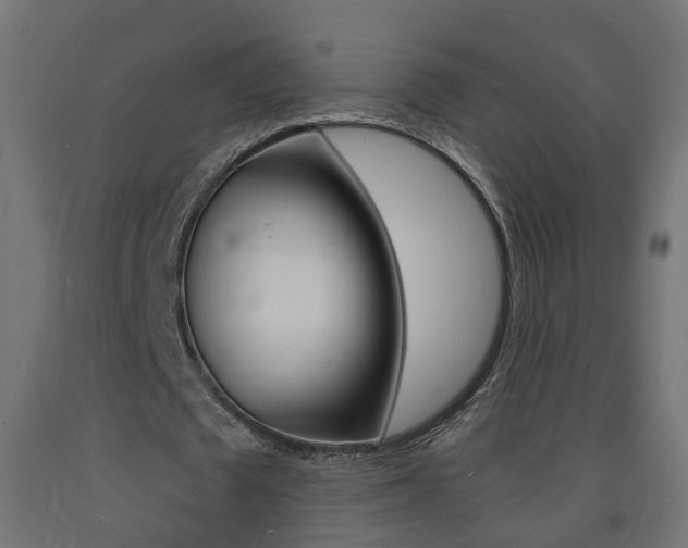 X0000093720673200710160751