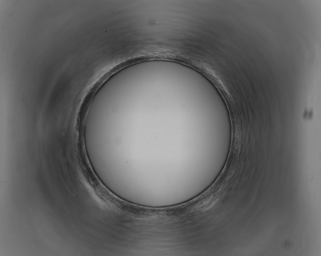 X0000093720674200710160751