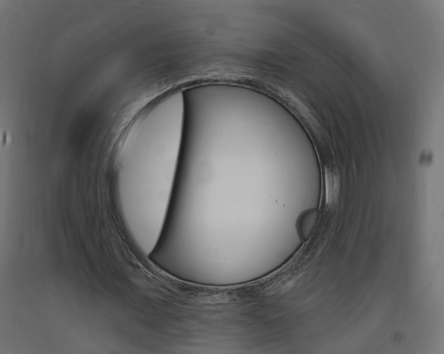 X0000093720675200710160751