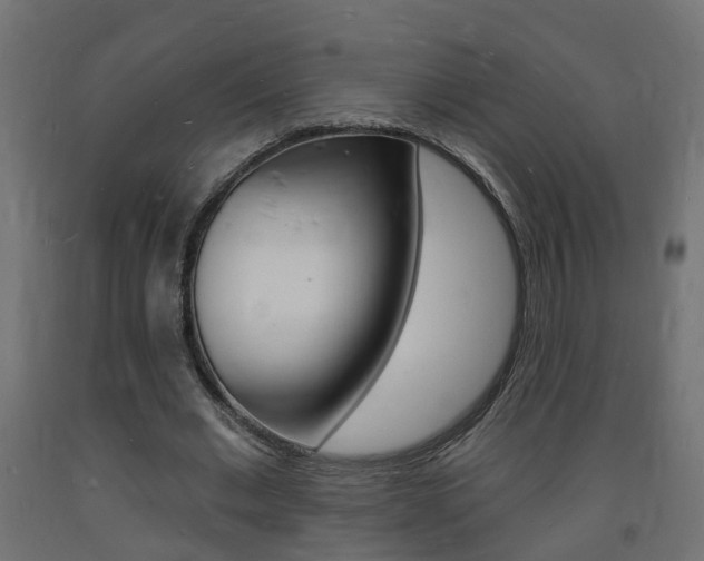 X0000093720677200710160751
