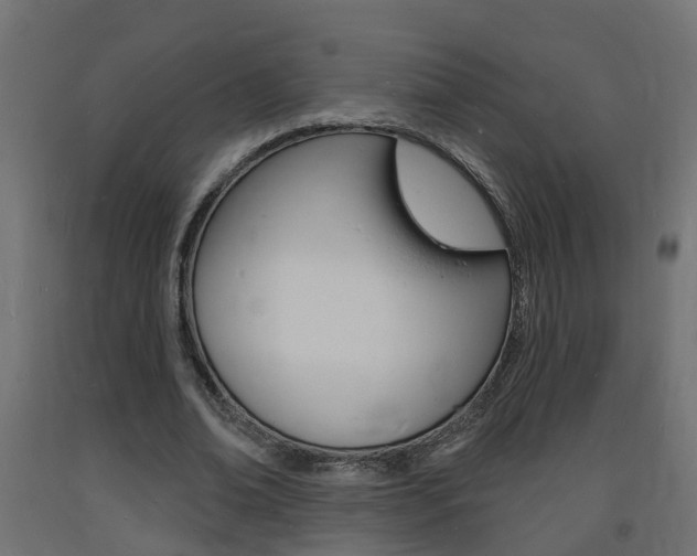 X0000093720678200710160751