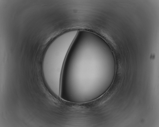 X0000093720681200710160751