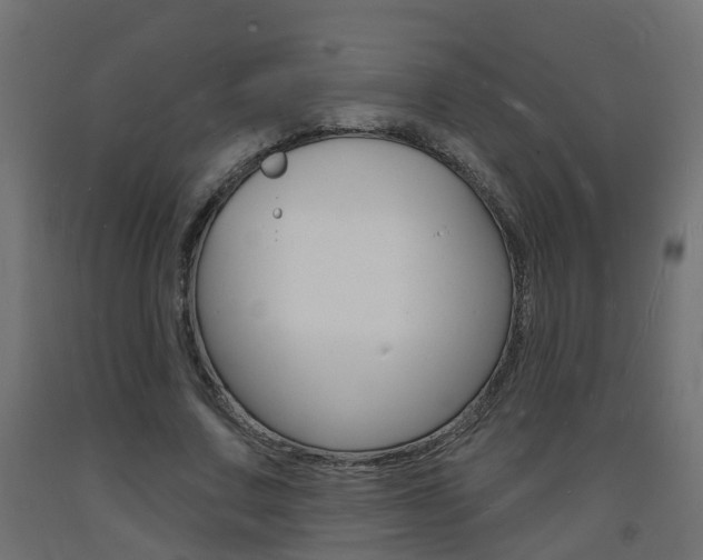 X0000093720683200710160751