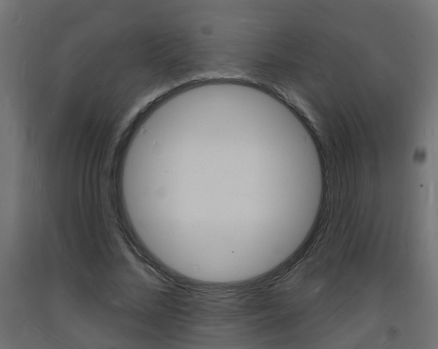 X0000093720684200710160751