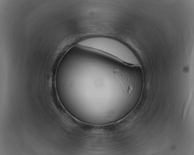 X0000093720685200710160751