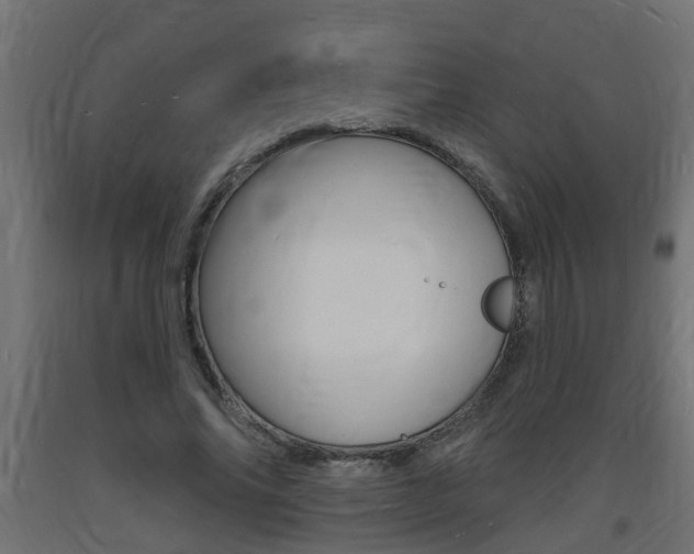 X0000093720686200710160751