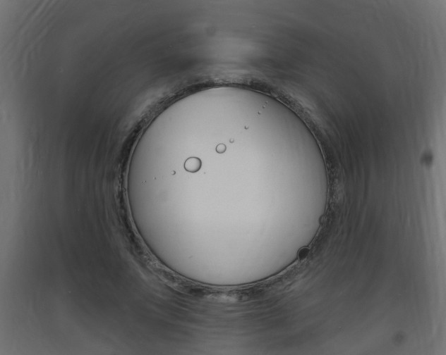 X0000093720687200710160751