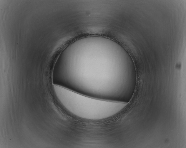 X0000093720688200710160751