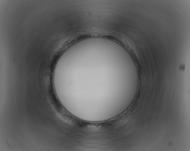 X0000093720690200710160751