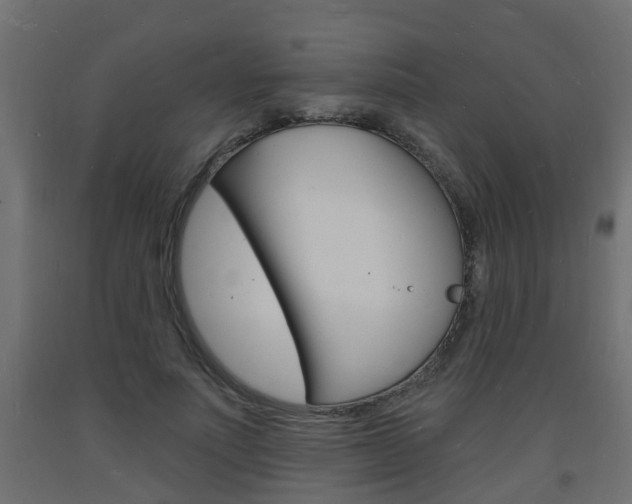 X0000093720691200710160751