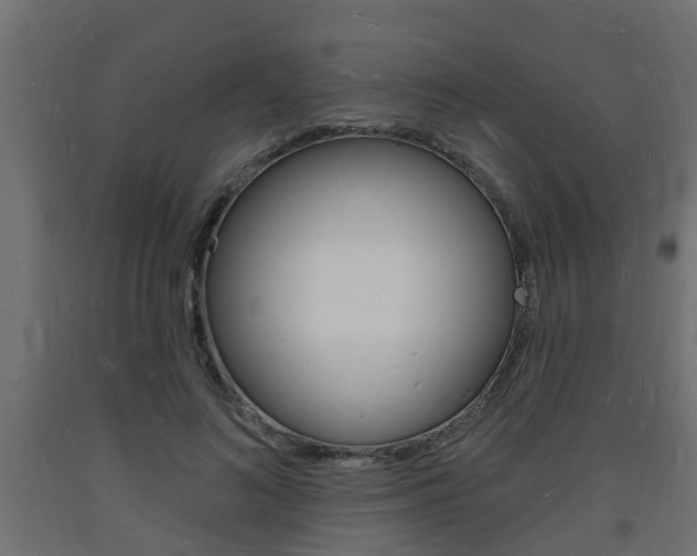 X0000093720692200710160751