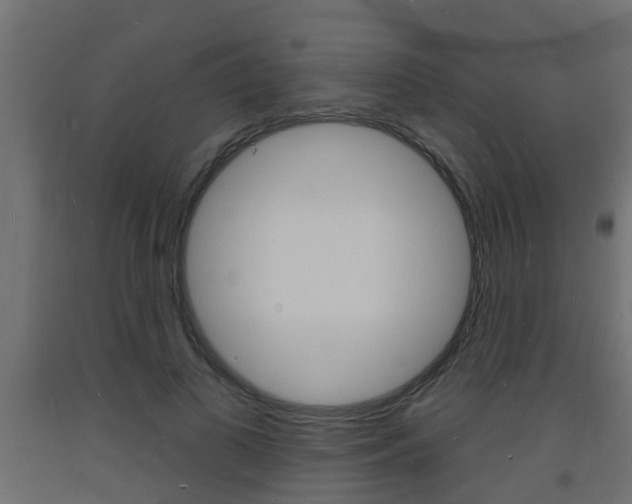 X0000093720693200710160751