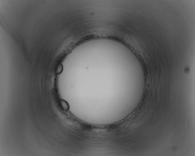 X0000093720694200710160751