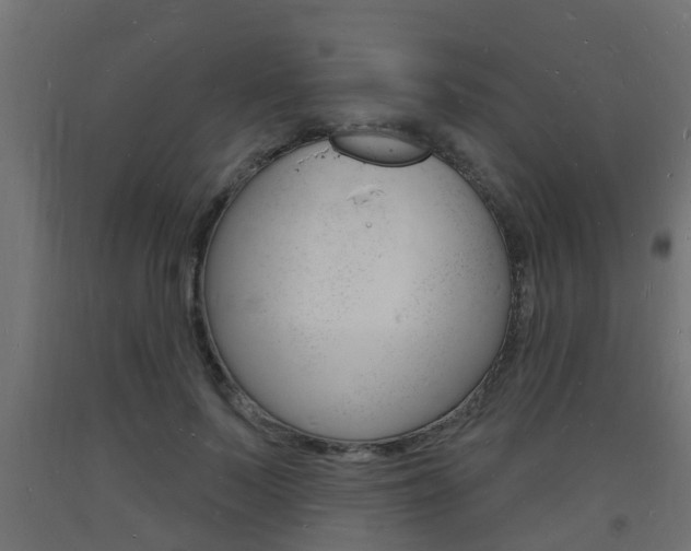 X0000093720695200710160751
