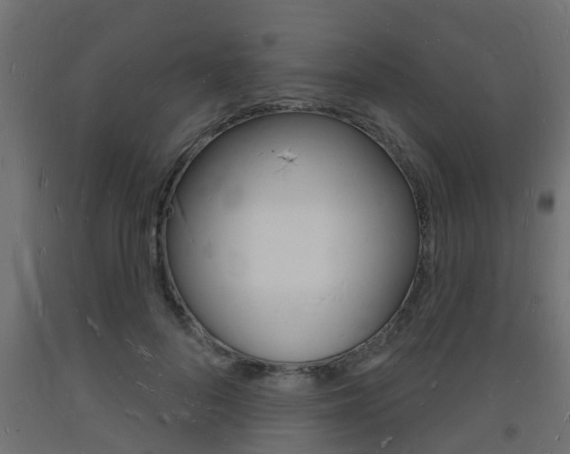 X0000093720696200710160751