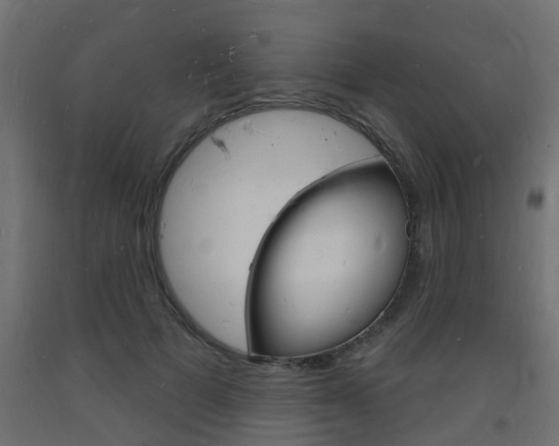 X0000093720697200710160751