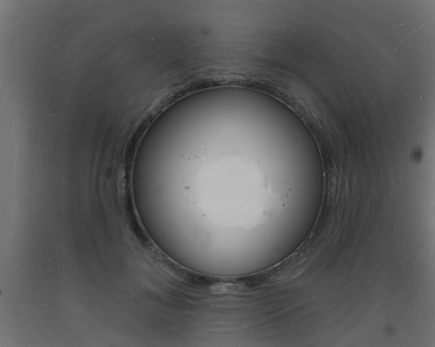 X0000093720700200710160751