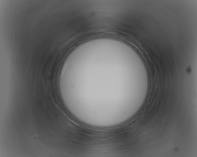X0000093720701200710160751
