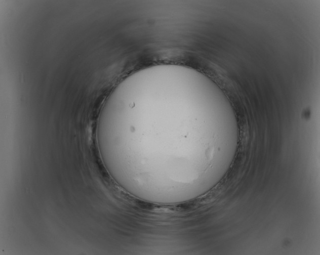 X0000093720703200710160751
