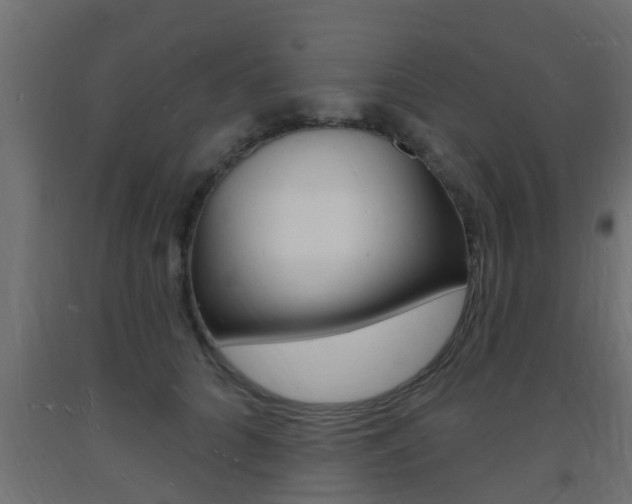 X0000093720704200710160751