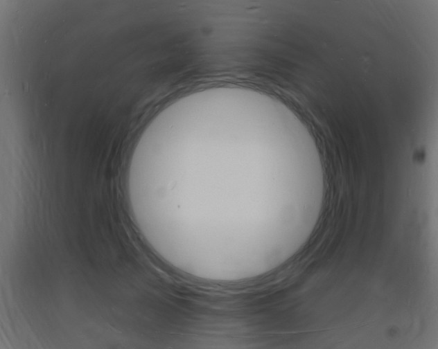 X0000093720705200710160751