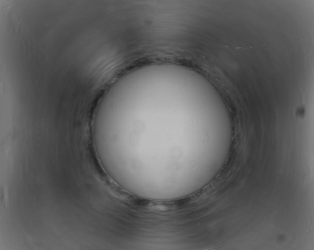 X0000093720706200710160751