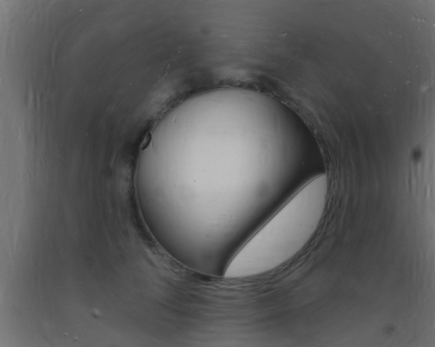 X0000093720708200710160751
