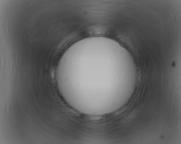 X0000093720709200710160751