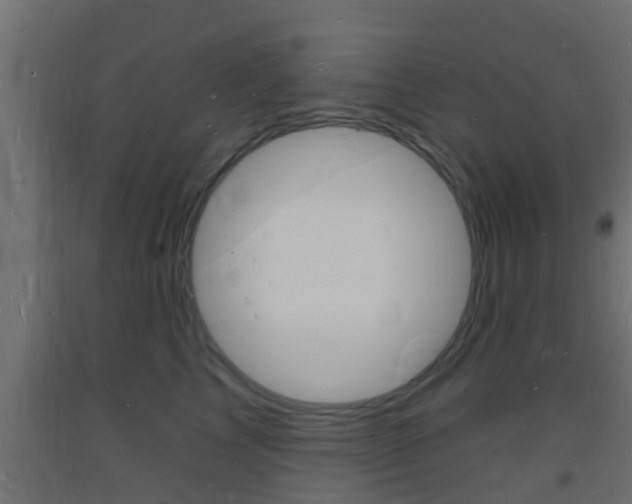 X0000093720713200710160751