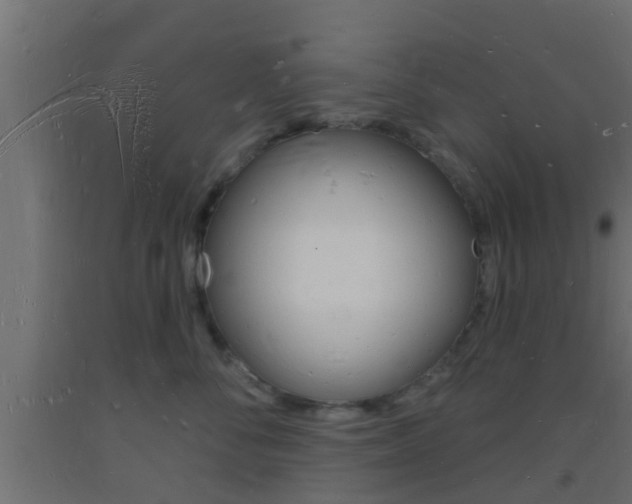 X0000093720716200710160751