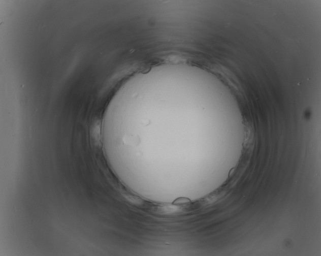 X0000093720717200710160751