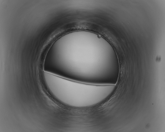 X0000093720722200710160750