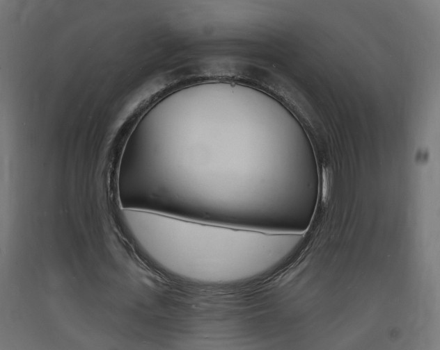 X0000093720723200710160750