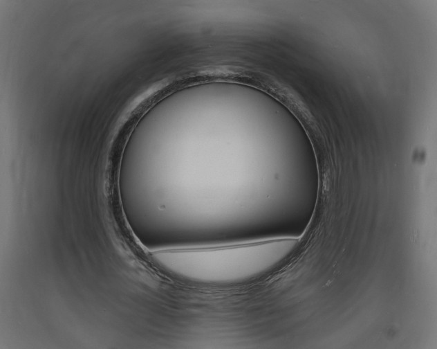 X0000093720724200710160750